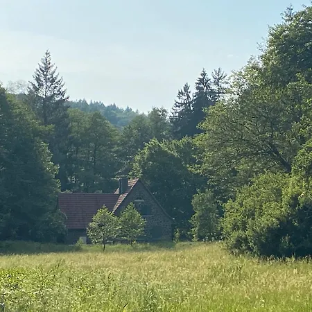 公寓 Fewo1 Am Edersee *