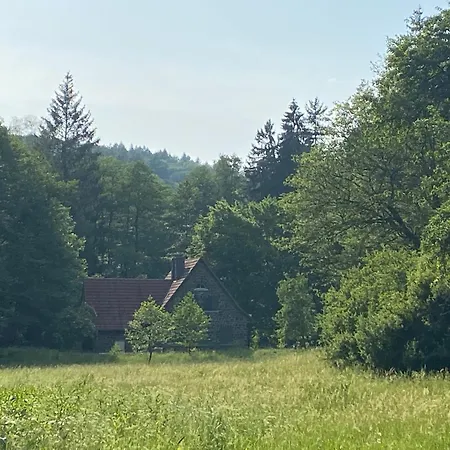 Fewo1 Am Edersee * Edertal