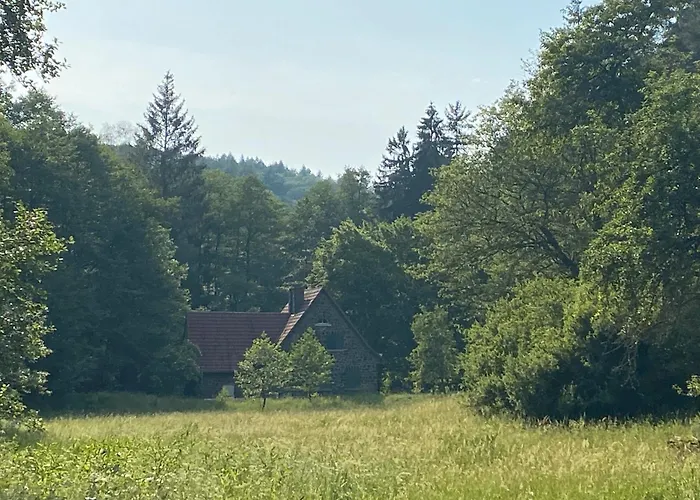 Apartment Fewo1 Am Edersee *